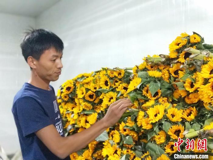 李建耀查看儲(chǔ)備的鮮花情況?！≮w國華 攝