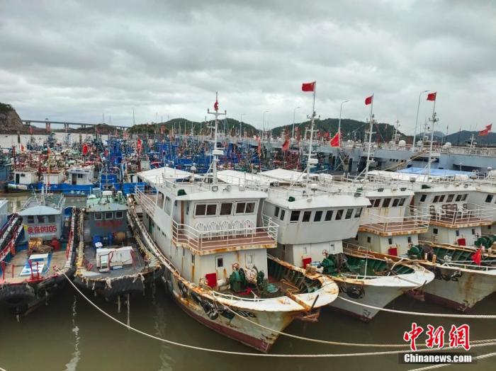 圖為漁船在崇站港避風(fēng)。 王逸飛 攝