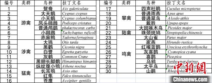 十萬(wàn)余人次投票雨燕等30種鳥(niǎo)獲選“首都市民最喜愛(ài)的鳥(niǎo)”