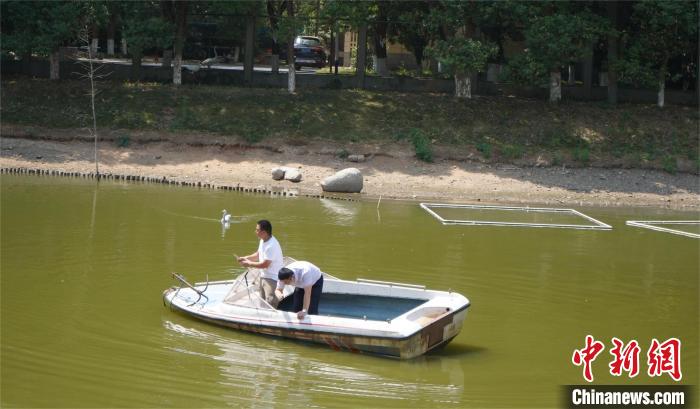 鄱陽(yáng)湖保護(hù)區(qū)和湖北秀湖植物園工程師對(duì)擬選基地的水源水質(zhì)狀況進(jìn)行勘察?！≯蛾?yáng)湖保護(hù)區(qū) 供圖