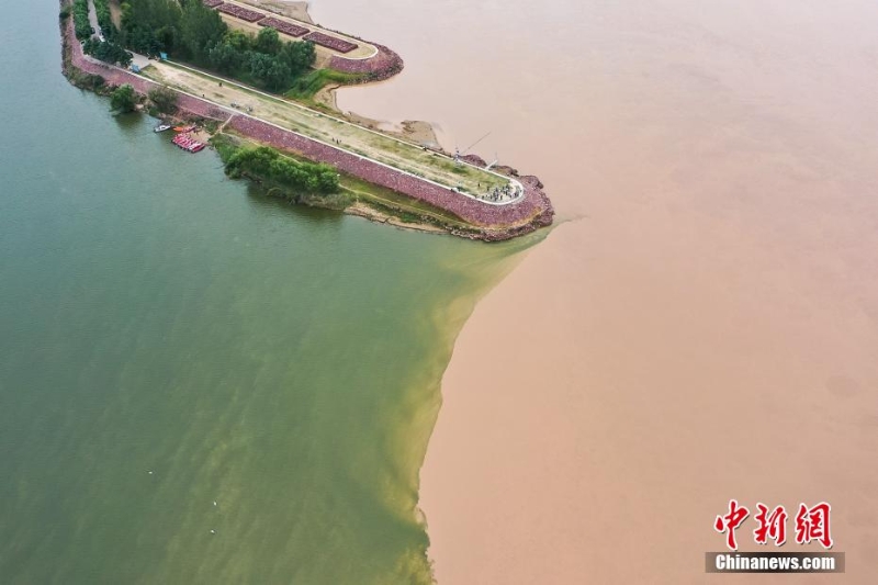 航拍“水上太極” 洛河黃河現(xiàn)一清一濁交匯盛景