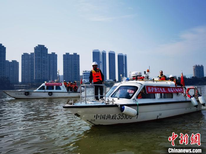 福建省海洋與漁業(yè)執(zhí)法部門在閩江流域加強(qiáng)執(zhí)法巡查?！「＝ㄊ『Ｑ笈c漁業(yè)執(zhí)法總隊(duì) 供圖