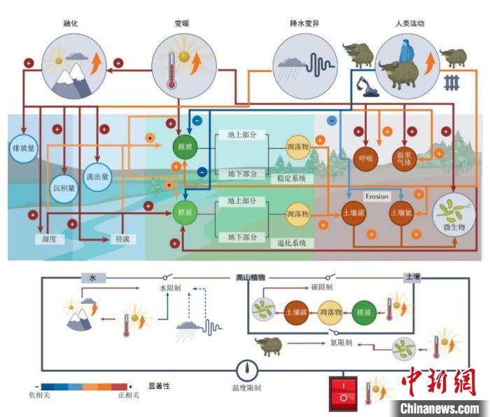 中國科研人員揭示青藏高原上的碳氮循環(huán)變化及驅(qū)動機制