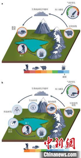 積極的恢復(fù)和碳減排措施有助于實現(xiàn)可持續(xù)發(fā)展的碳匯功能。　中科院成都生物研究所供圖