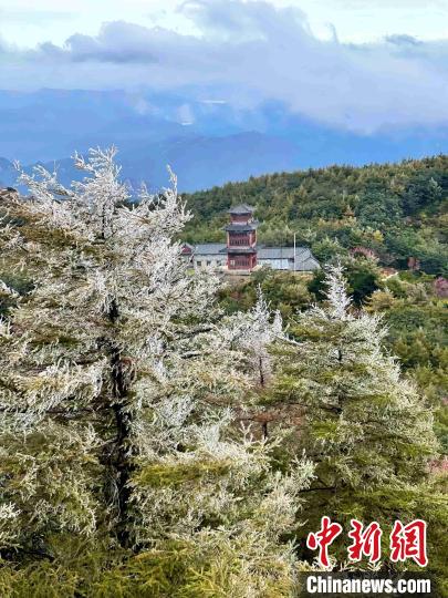 10月4日，泰山之巔現(xiàn)霧凇奇觀，冰雕玉砌、晶瑩閃爍的霧凇綴滿枝頭，一樹樹、一叢叢，甚是好看?！±捉?攝