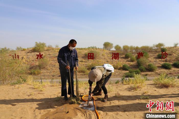 （人民幸福生活）幾代人接力植樹(shù)造林中國(guó)第七大沙漠庫(kù)布其刮起“綠旋風(fēng)”