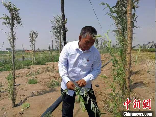 （人民幸福生活）住進別墅里的種樹治沙人