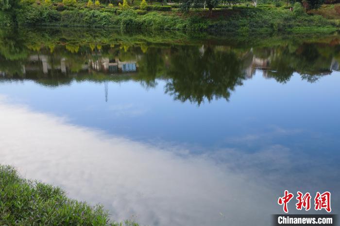 重慶兩江新區(qū)的肖家溝水庫是嘉陵江水系跳墩河的源頭，如今已打造成魚翔淺底的生態(tài)之湖?！×簹J卿 攝