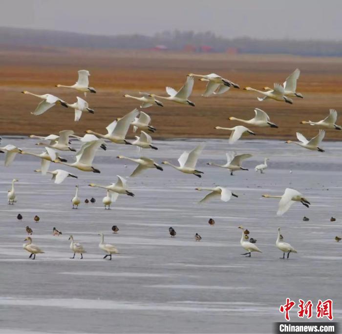 圖為如今的渾善達(dá)克沙地腹地。　管永新 攝