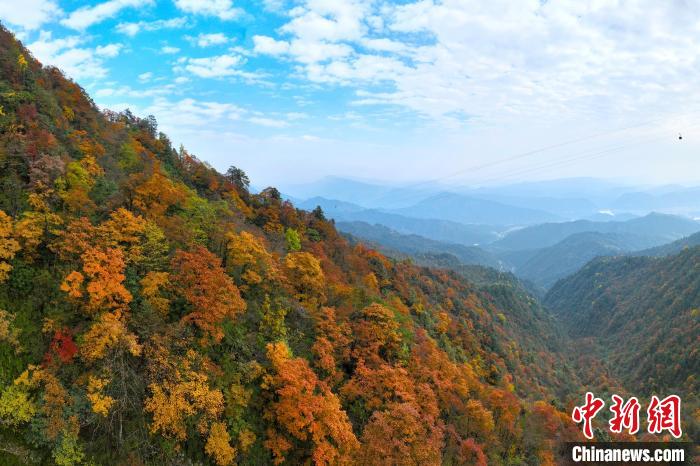 深秋的瓦屋山五彩斑斕，秋色如畫。　劉忠俊 攝