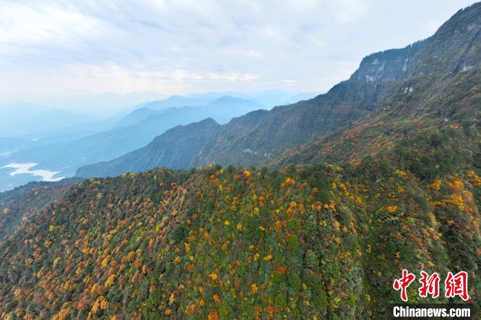 美不勝收的瓦屋山秋景?！⒅铱?攝