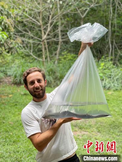 論文第一作者手拿一只美洲肺魚，他剛在巴西的亞馬遜研究所進(jìn)行完錄音(圖源：Basil Minder)。　施普林格·自然 供圖