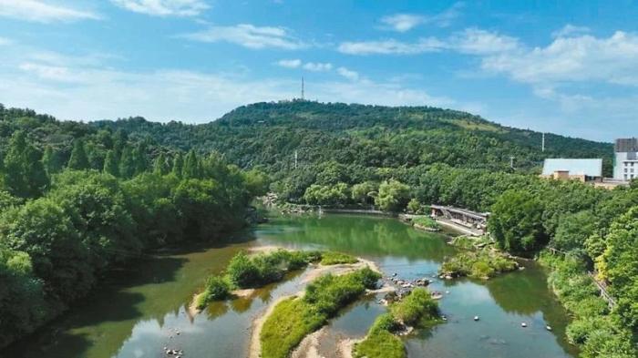 臺媒看大陸：湖北咸寧潛山國家森林公園移步成景