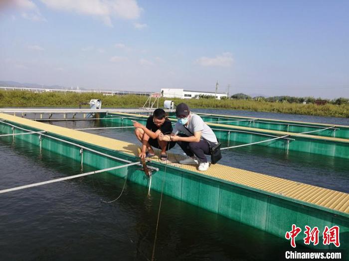 廣東珠海斗門打造“一條魚”的氣象服務(wù)