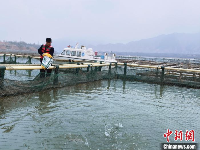 圖為水車村冷水魚養(yǎng)殖?！±钣穹?供圖