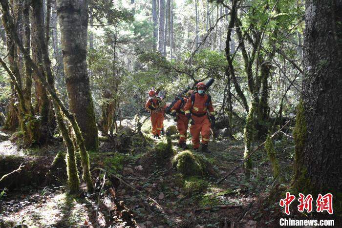 消防隊員在林間巡護。　王澤棟 攝