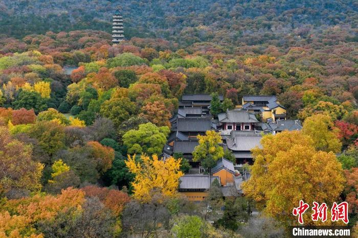 鐘山風(fēng)景區(qū)靈谷寺掩映在樹(shù)木中。　泱波 攝