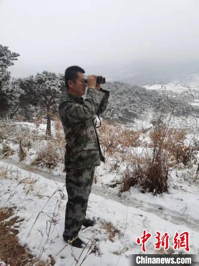 資料圖：大雪封山，護(hù)林員堅(jiān)持巡查，避免積雪壓折樹木 泰安市委宣傳部供圖