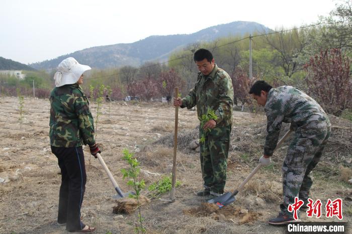 資料圖：護(hù)林員開展退耕還林，植樹綠化。　泰安市委宣傳部供圖