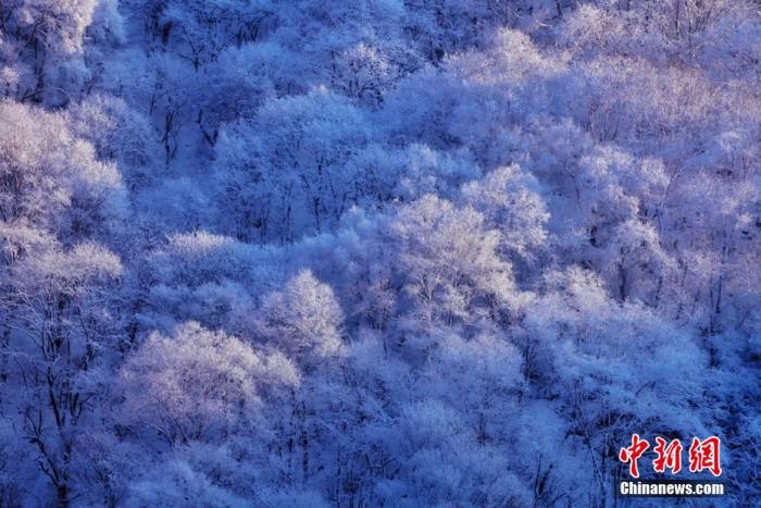 資料圖：圖為甘肅平涼關山雪景。李靖 攝

