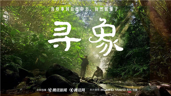 去雨林深處，聽大象長吟，自然紀錄片《尋象》正式上線！