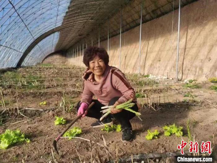 圖為內(nèi)蒙古赤峰市林西縣農(nóng)民在大棚里干活(資料圖)。　陳曉云 攝