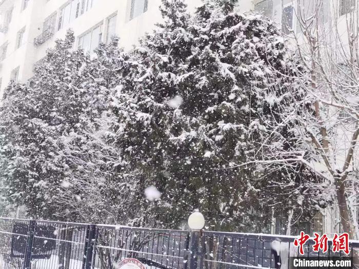 圖為呼和浩特迎降雪?！±類燮?攝