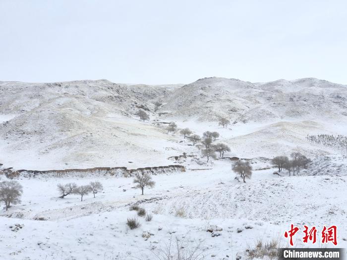 圖為內(nèi)蒙古迎降雪。　內(nèi)蒙古自治區(qū)氣息局供圖