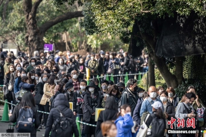 中簽的“幸運兒”按預(yù)約時間段前往大熊貓館等待與“香香”道別。