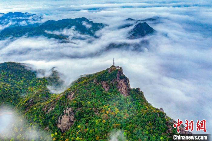 廣東象頭山國家級自然保護區(qū) 廣東省林業(yè)局 供圖