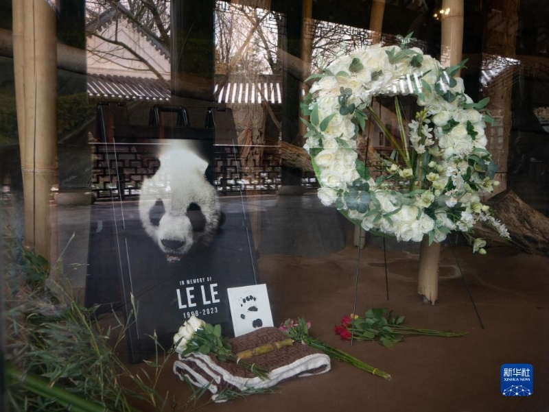 2月4日，美國(guó)田納西州孟菲斯動(dòng)物園擺放了紀(jì)念大熊貓“樂(lè)樂(lè)”的照片和鮮花。（圖源：新華社）