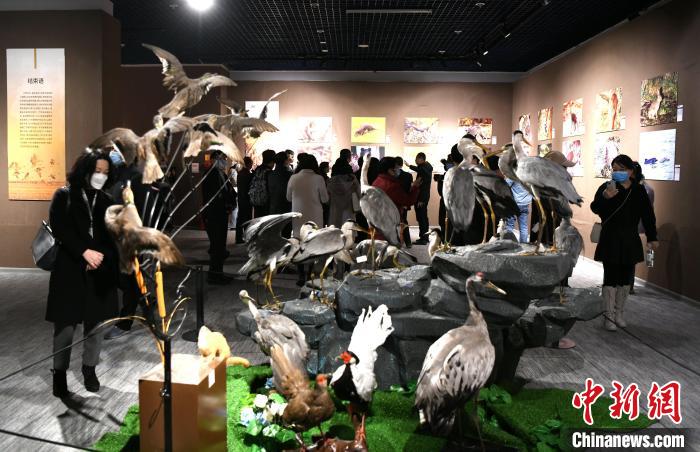 市民觀看靈動鮮活的動物標本?！⊥鯑|明 攝