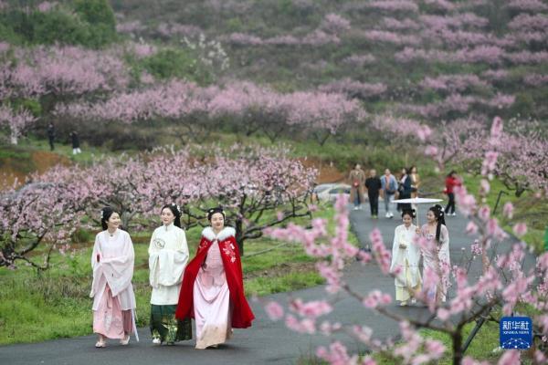 春日花開