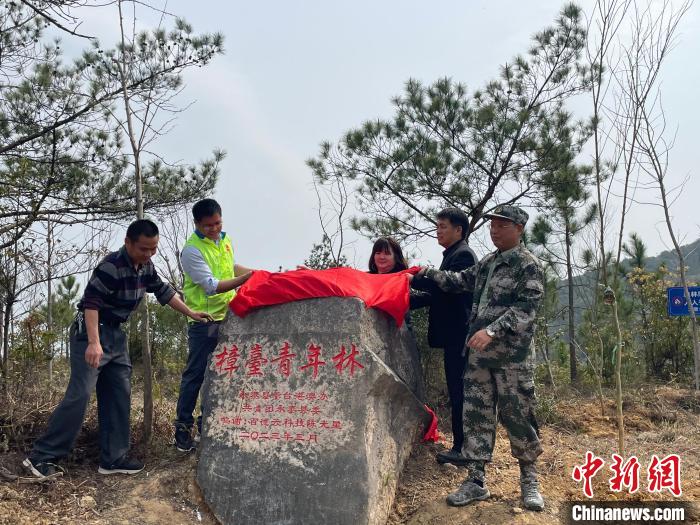 弘揚(yáng)張圣君文化兩岸青年共植樟臺青年林