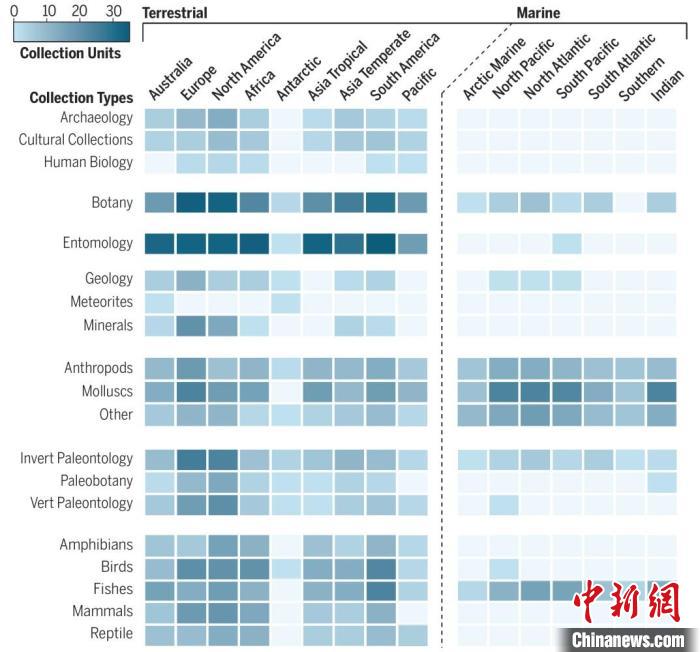 全球自然藏品單元熱圖?！≈锌圃汗偶棺邓?供圖