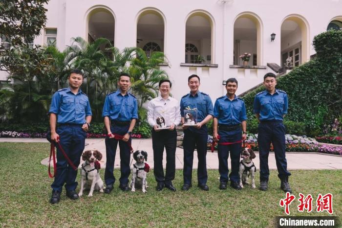 李家超禮賓府“宴請”赴土耳其救災(zāi)搜救犬?！±罴页缃幻襟w圖片 攝