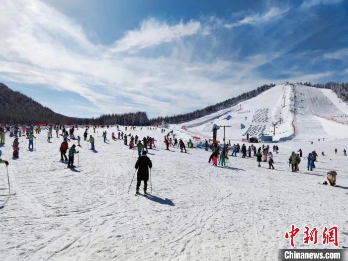 神農(nóng)架的滑雪場 神農(nóng)架林區(qū)文化和旅游局 供圖