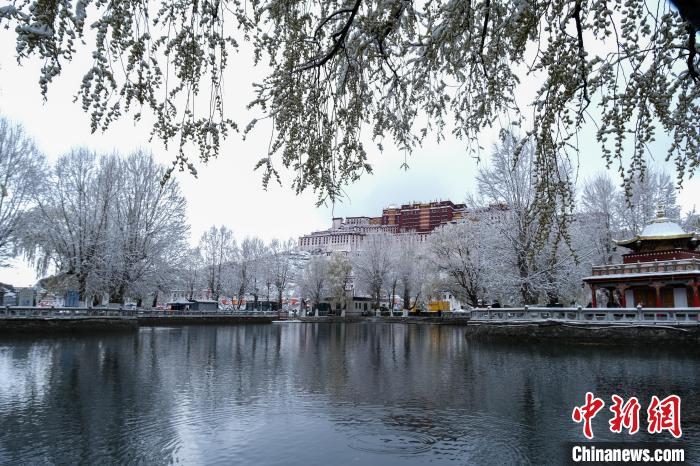 3月30日，春雪與布達(dá)拉宮?！〗w波 攝