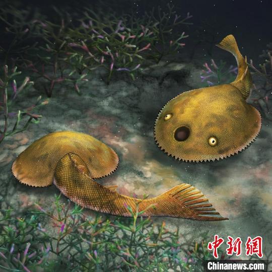 九尾狐甲魚生態(tài)復(fù)原圖(楊定華 繪)?！≈锌圃汗偶棺邓?供圖