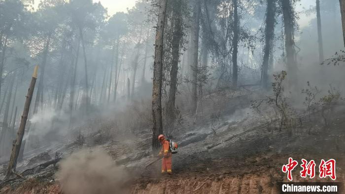 四川西昌森林火災(zāi)投入消防救援力量500余人火勢得到明顯控制