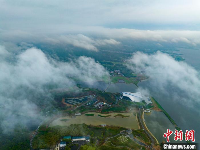 一場(chǎng)春雨過后，湖口縣處處云霧縹緲蒼翠掩映，美如畫卷。　李學(xué)華 攝