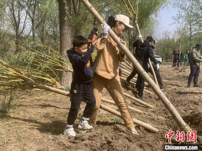 圖為參加植樹活動的在京臺胞?！畛坛?攝