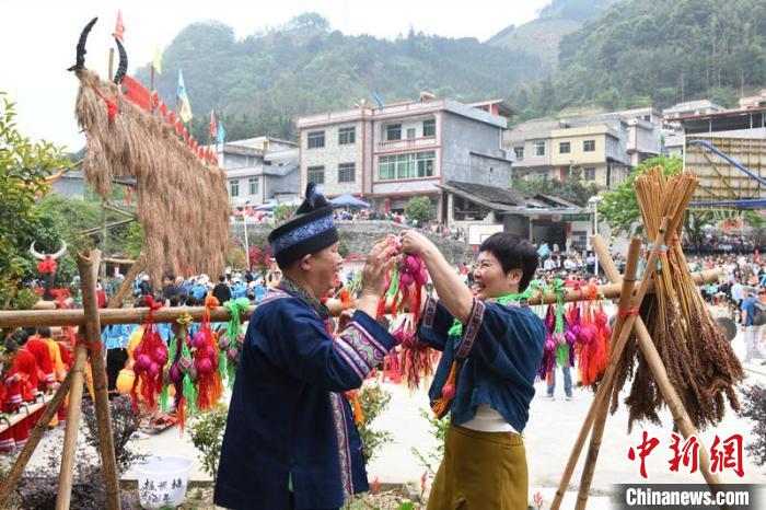 圖為游客體驗(yàn)壯族敬牛節(jié)特色文化項(xiàng)目?！×趾?攝