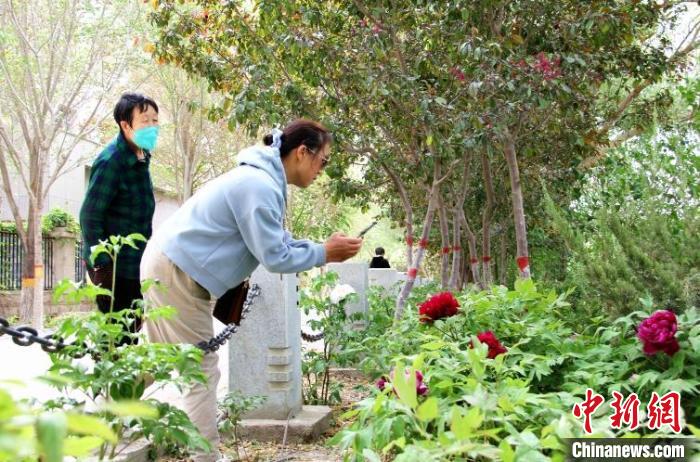 市民在梨香園賞牡丹。　馬麗娟 攝