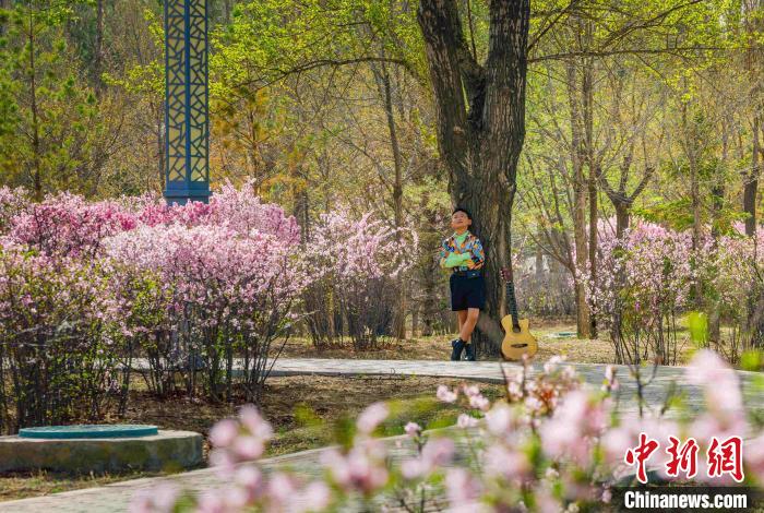 公園中隨處可見(jiàn)賞春景的游人。　張瑋 攝