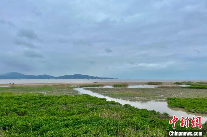 福建閩江河口濕地自然保護(hù)區(qū)一景 汪俐辰 攝