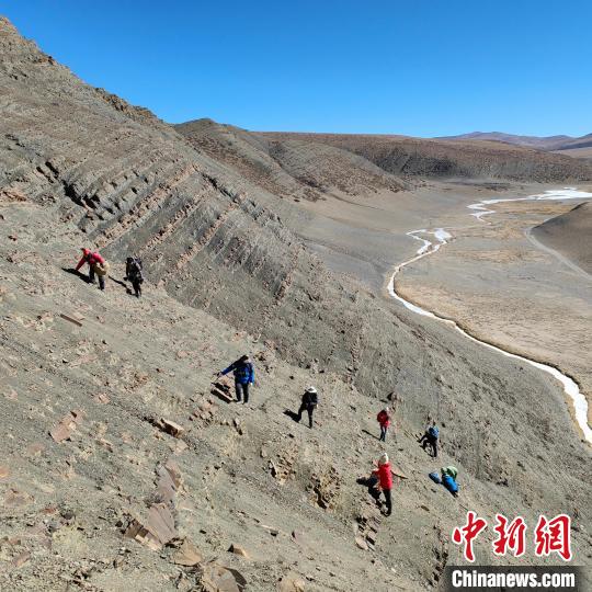 中科院古脊椎所青藏科考隊員在聶拉木地區(qū)對三疊紀地層進行地毯式搜索，尋找化石。　中科院古脊椎所 供圖