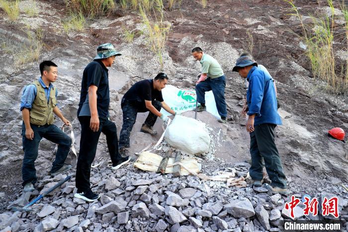 專家團(tuán)隊(duì)發(fā)掘恐龍蛋?！∩虾伎h融媒體中心供圖