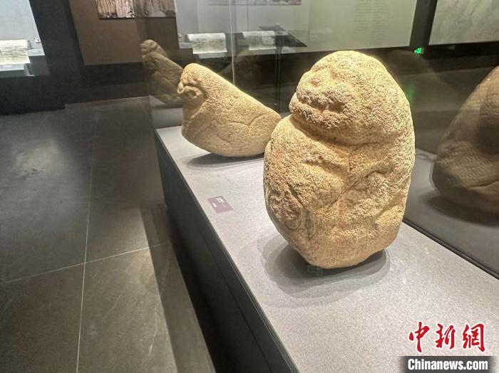 圖為館藏文物吐蕃石獅子。日喀則博物館供圖