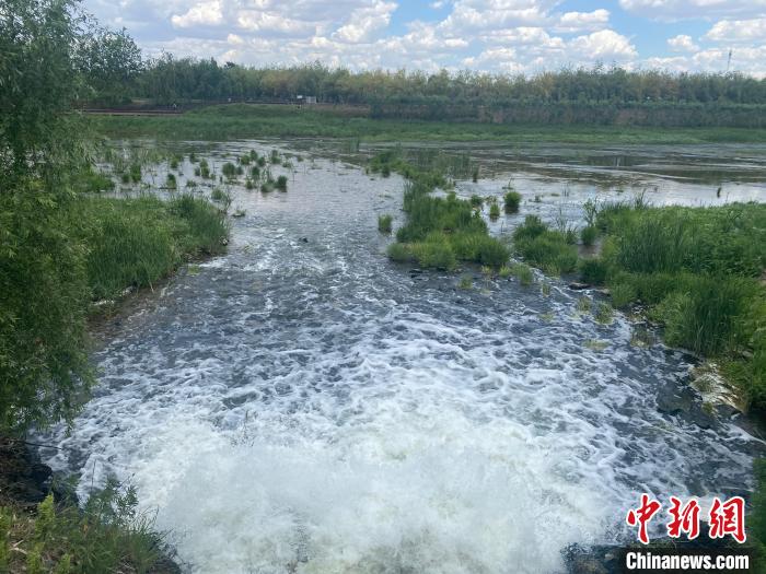 2日，經四平市污水處理廠的尾水正在排入西湖濕地。　譚偉旗 攝